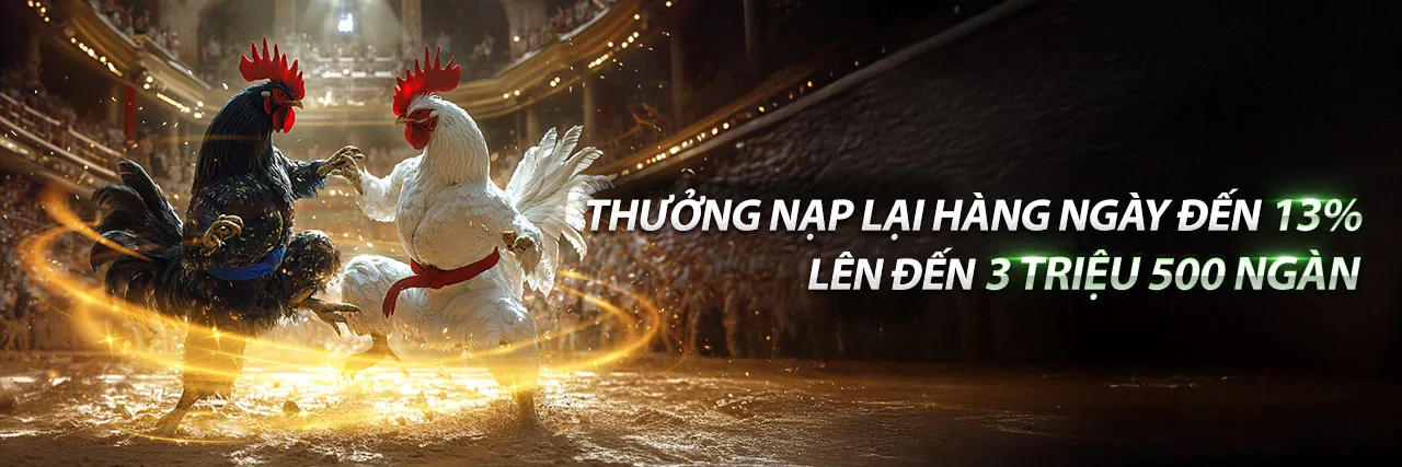 Sân vận động bóng đá với màn hình hiển thị tỷ lệ cược 55vin info