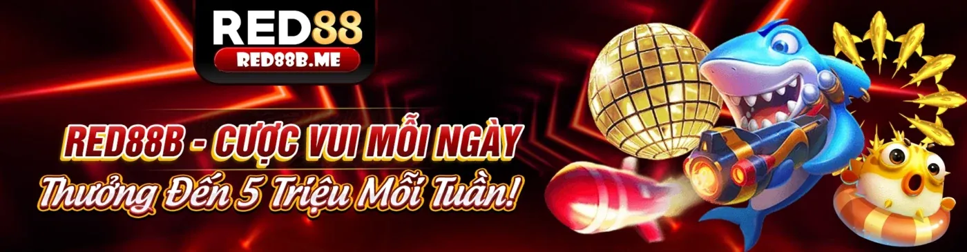 Tải xuống ứng dụng 55vin info